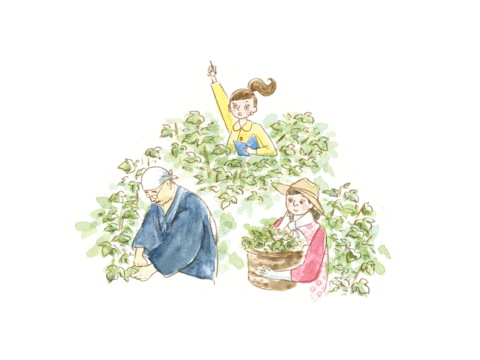 kosecosmeport giphyupload japan skincare japanese Sticker