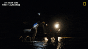 Dog Water GIF by National Geographic Channel