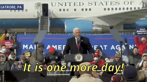 Mike Pence GIF by Election 2020
