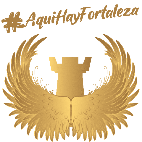 fortalezaguitars giphyupload mexico usa handmade Sticker