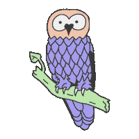 Wink Owl Sticker by SXSW