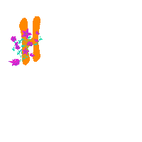 Accessories Ny Sticker by Rodge