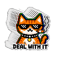 weirdcats reaction cat meme cats Sticker