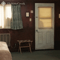 Excited Schitts Creek GIF by CBC