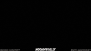 moominofficial moomin moominvalley moomins snufkin GIF