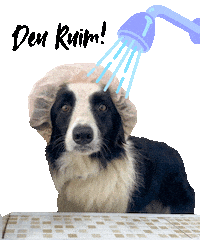 kombordersnaestrada komborders komborder Sticker