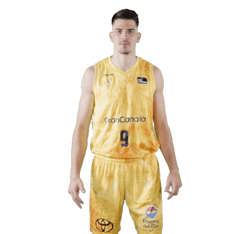 Liga Endesa Basketball Sticker by ACB
