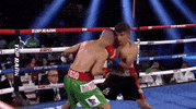 toprank fight boxing fighting espn GIF
