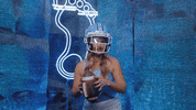 North Carolina Football GIF by UNC Tar Heels