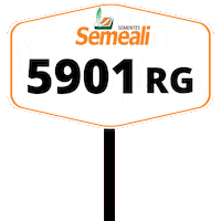 Semeali Sticker by semealisementes