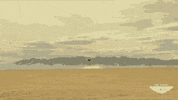 Flying Tom Cruise GIF by Top Gun