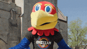 Number One Jayhawks GIF by University of Kansas