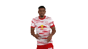 Angry Football Sticker by RB Leipzig