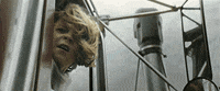 bryce dallas howard disney GIF by Disney’s Pete’s Dragon
