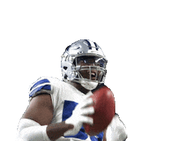 Celebrate Dallas Cowboys Sticker by NFL