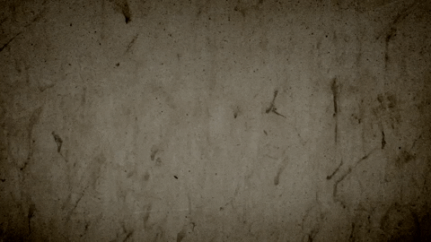 Logo Marketing GIF by Ridetime