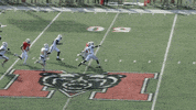 Football Turnover GIF by Chattanooga Mocs