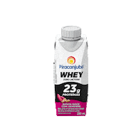 Piracanjuba piracanjuba piracanjubawhey whey pirawhey protein proteina treino musculacao academia yoga exercicio banana cacau frutasvermelhas pastadeamendoim batatadoce baunilha zerolactose zero lactose batatadoce zerolactose zero Sticker