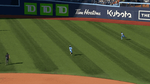 Blue Jays Baseball GIF by Toronto Blue Jays