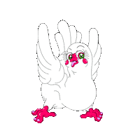 friederikehantel hello peace bird thankyou Sticker
