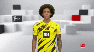Posing Line Up GIF by Bundesliga