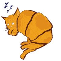 Cat Adore Sticker by Carol Bassi