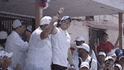 gabycarrizoj panama vct prd vamos con todo GIF