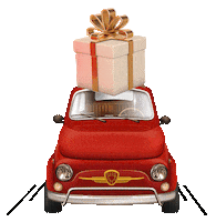 car gift Sticker by Alena Geyzer