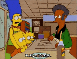 bart simpson episode 23 GIF