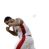 Basketball Celebration Sticker by Sporter