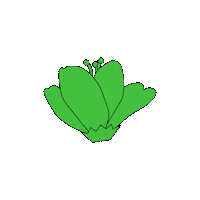 Art Design Sticker by Youth To The People