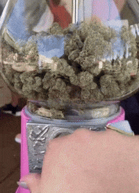 Weed Gas GIF by Kushy Dreams