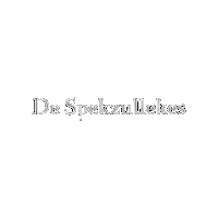 Carnaval Helmond Sticker by CV De Spekzullekes