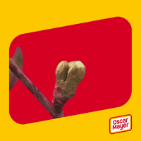 Hungry Food GIF by Oscar Mayer