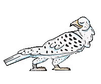 Gyrfalcon Sticker by Mike Bennett Art