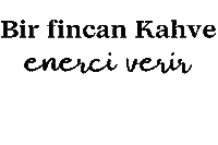 Guzel Sticker