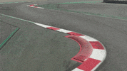 redbullracing france 2019 f1 french GIF