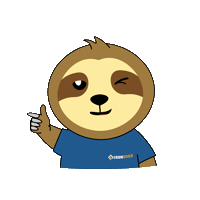 Wink Didi Sticker by IRONQUADFPV