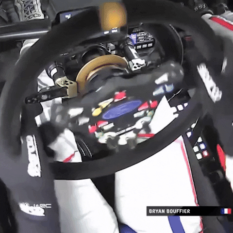 Steering Wheel Driving GIF by FIA World Rally Championship