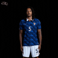 France Uefa GIF by Respective