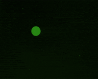 lotte reiniger GIF by Maudit