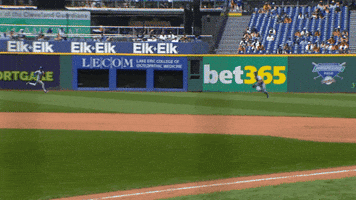 Blue Jays Baseball GIF by Toronto Blue Jays