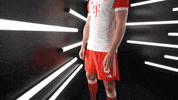 Come Here Germany GIF by Bundesliga