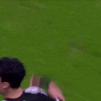 Happy Football GIF