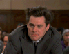 liar GIF