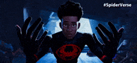 Spider-Man Spiderverse Movie GIF by Spider-Man: Across The Spider-Verse