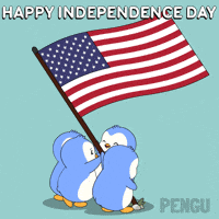 United States Penguin GIF by Pudgy Penguins