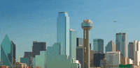 texas dallas GIF