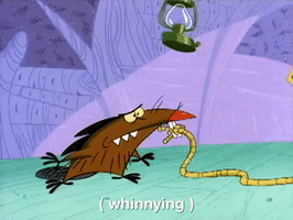 nickrewind nicksplat angry beavers GIF