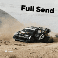 Motorsport Driving GIF by FIA World Rally Championship